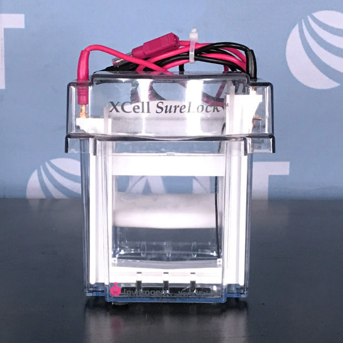 Invitrogen XCell SureLock Mini-Cell Electrophoresis System