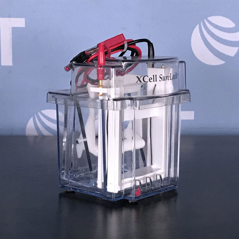 Invitrogen XCell SureLock Mini-Cell Electrophoresis System