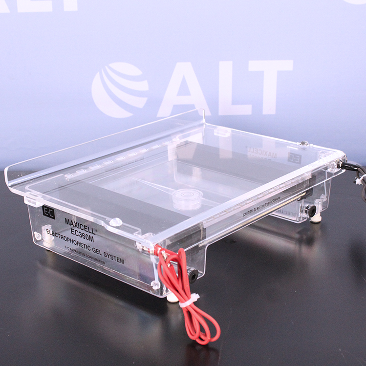 EC Apparatus Maxicell Electrophoretic Gel System