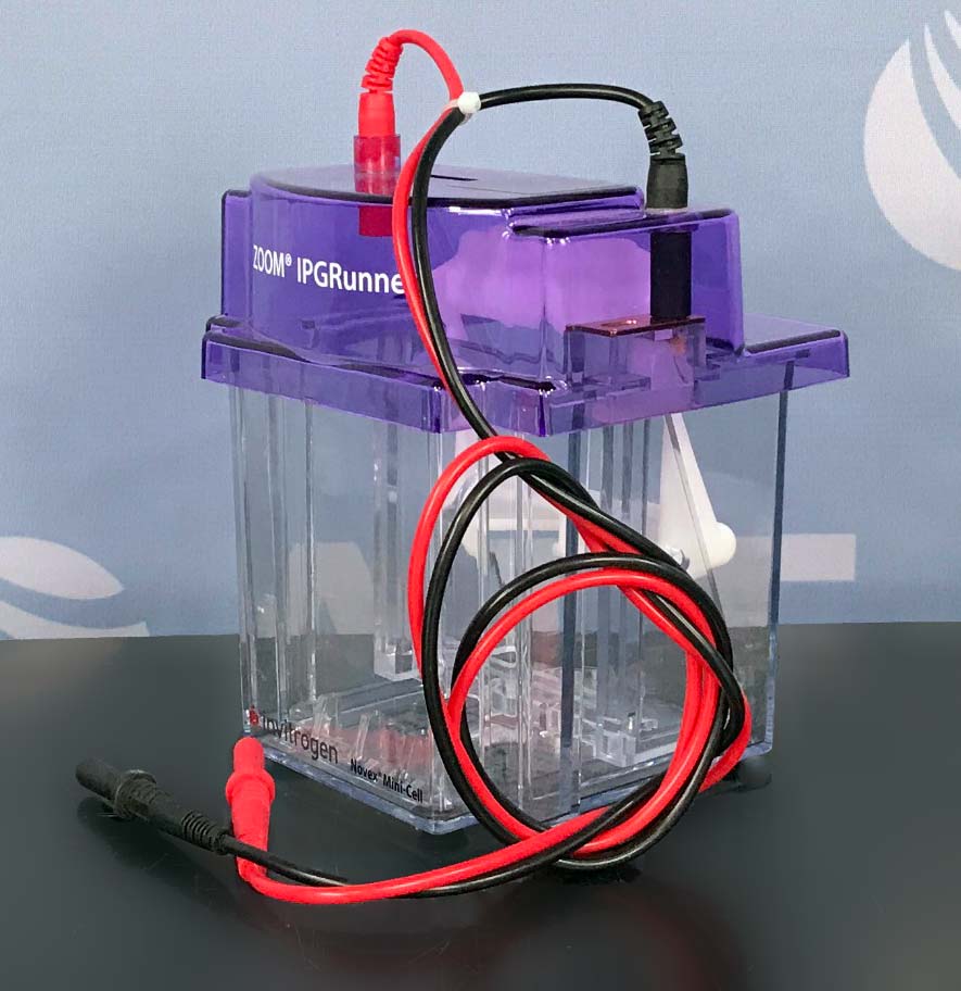 Invitrogen ZOOM IPGRunner Mini-Cell