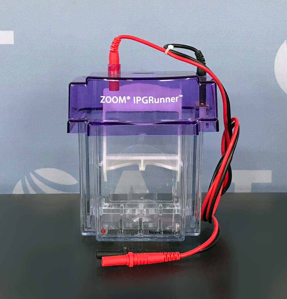 Invitrogen ZOOM IPGRunner Mini-Cell