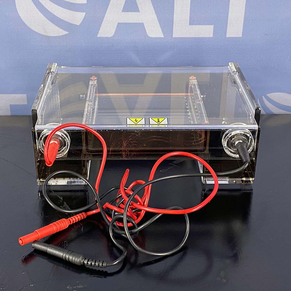 Thermo Scientific OWL EasyCast B2 Mini Gel Electrophoresis System