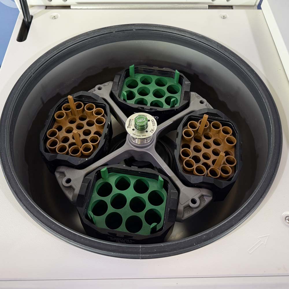 Thermo Scientific ST40R Centrifuge With TX-1000 Rotor, Buckets, (2 ...