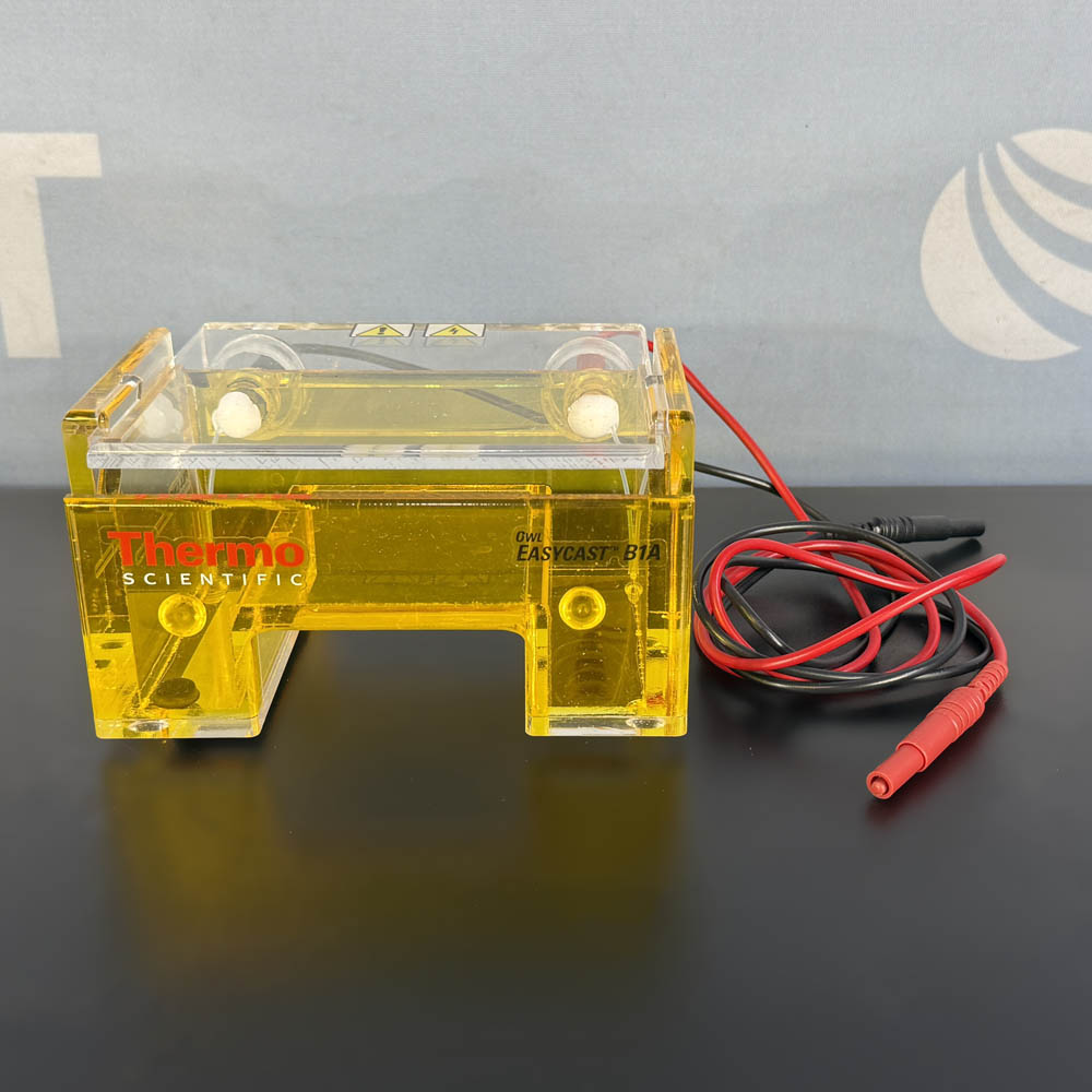 Thermo Fisher Scientific  Owl EasyCast B1A Electrophoresis Cell