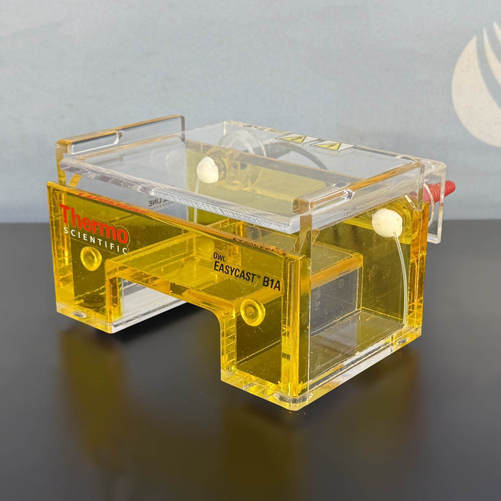 Thermo Fisher Scientific  Owl EasyCast B1A Electrophoresis Cell