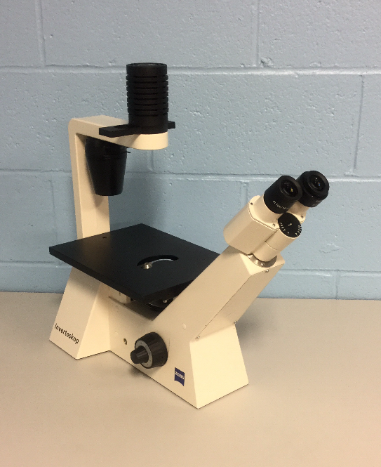 Carl Zeiss Inverted Microscope