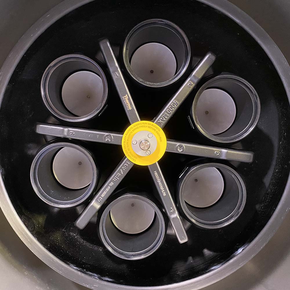 Thermo / Sorvall RC 3BP+ Centrifuge
