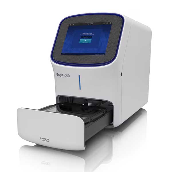 Invitrogen iBright FL1000 Imaging System