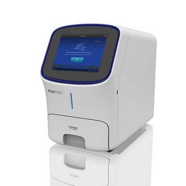 Used Lab Equipment - Invitrogen iBright FL1000 Imaging System 21